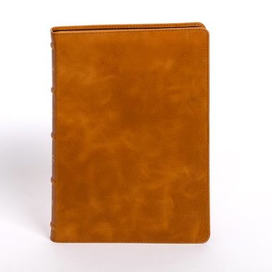 bokomslag Holy Bible
