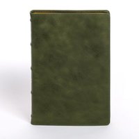 bokomslag Holy Bible
