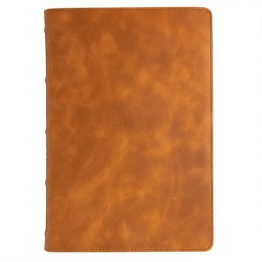 bokomslag Holy Bible