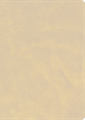 bokomslag CSB She Reads Truth Bible, Holman Handcrafted Collection, Blonde Premium Calfskin