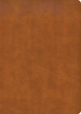 bokomslag Women's Study Bible
