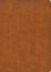 bokomslag CSB Women's Study Bible, Saddle Brown Genuine Leather, Indexed