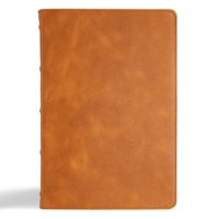 bokomslag Holy Bible
