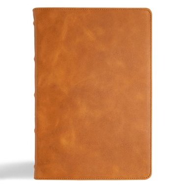 bokomslag Holy Bible