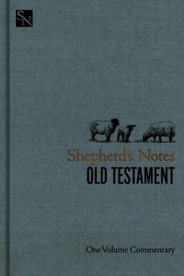 Holman Bible Publishers - Shepherd's Notes on the Old Testament, Häftad