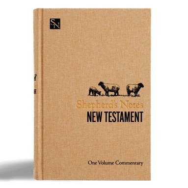 Holman Bible Publishers - Shepherd's Notes on the New Testament, Häftad