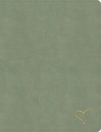 bokomslag Holy Bible