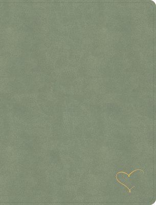 Holy Bible 1