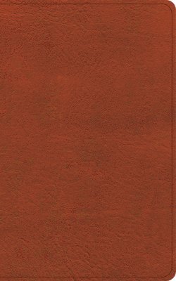 bokomslag CSB Single-Column Personal Size Reference Bible, Burnt Sienna Leathertouch