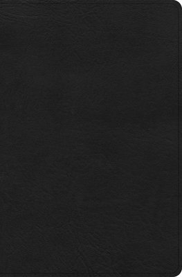 bokomslag CSB Connecting Scripture New Testament, Black Genuine Leather: A Study Bible of Biblical Allusions and Quotations
