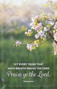 bokomslag General Worship Bulletin: Let Every Thing (Package of 100): Psalm 150:6 (Kjv)