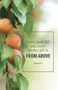 bokomslag Evangelism Bulletin: Every (Package of 100): James 1:17 (Kjv)