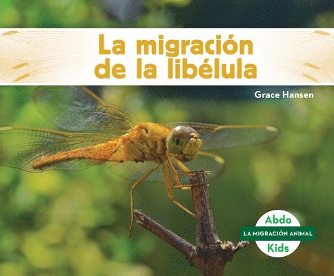 La Migración de la Libélula (Dragonfly Migration) 1