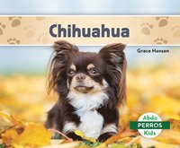 bokomslag Chihuahuas (Spanish Version)