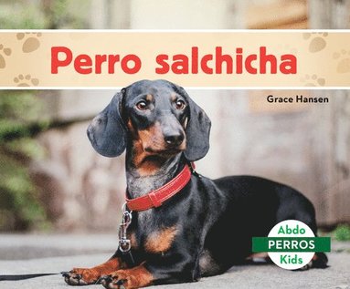 bokomslag Perro Salchicha (Dachshunds)