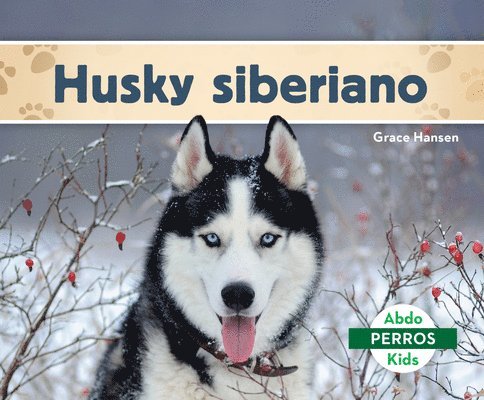 Husky Siberiano (Siberian Huskies) 1