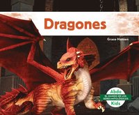 bokomslag Dragones