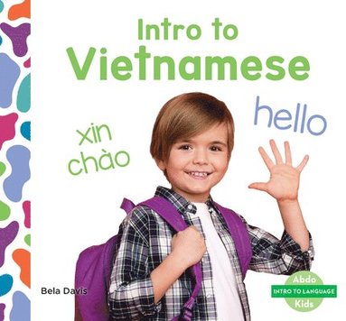 bokomslag Intro to Vietnamese