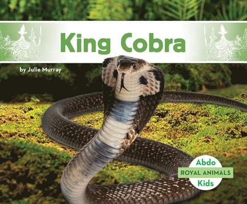 King Cobra 1