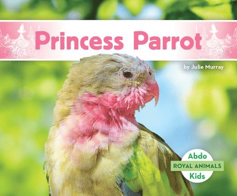 Princess Parrot 1