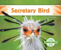 bokomslag Secretary Bird