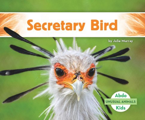 Secretary Bird 1