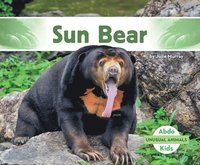 bokomslag Sun Bear