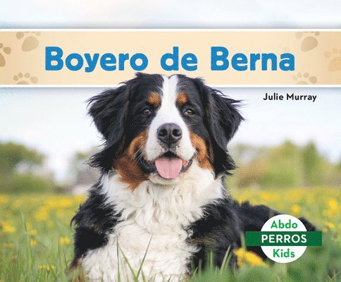 Boyero de Berna (Bernese Mountain Dogs) 1