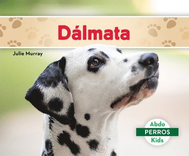 bokomslag Dálmata (Dalmatians)