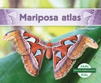 bokomslag Mariposa Atlas (Atlas Moth)