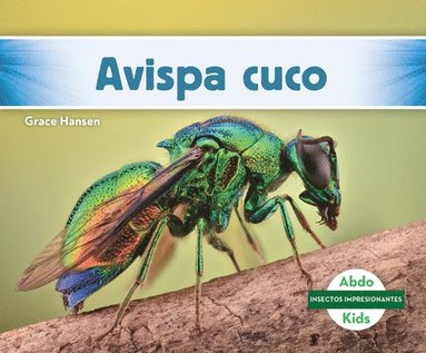 bokomslag Avispa Cuco (Cuckoo Wasp)