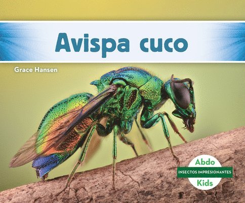 Avispa Cuco (Cuckoo Wasp) 1