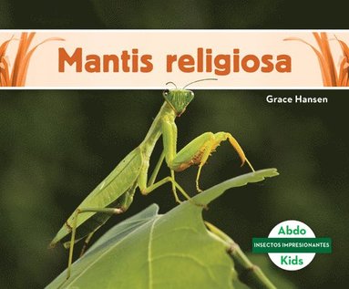 bokomslag Mantis Religiosa (Praying Mantis)