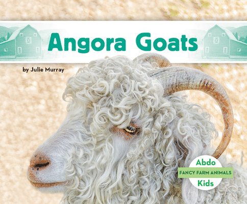 Angora Goats 1
