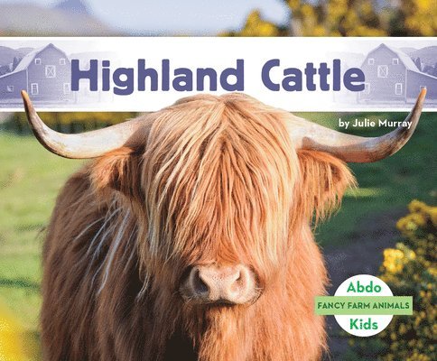 Julie Murray - Highland Cattle, Inbunden