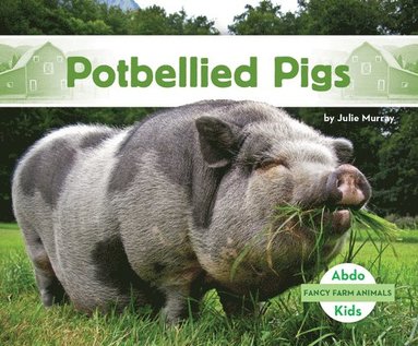 bokomslag Potbellied Pigs