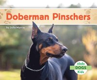bokomslag Doberman Pinschers