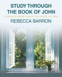 bokomslag Study Through the Book of John