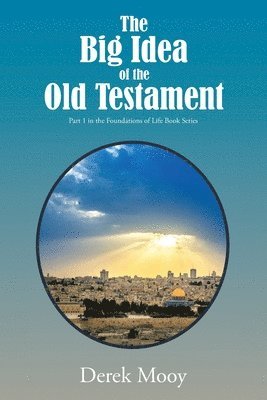 bokomslag Big Idea of the Old Testament