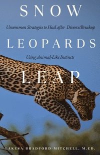 bokomslag Snow Leopards Leap