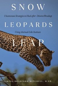 bokomslag Snow Leopards Leap