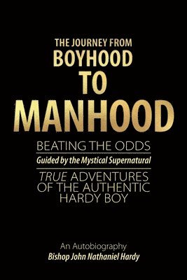 bokomslag The Journey from Boyhood to Manhood