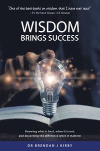 bokomslag Wisdom Brings Success