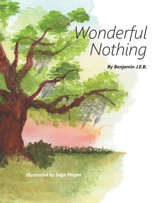 Wonderful Nothing 1