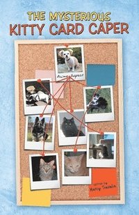 bokomslag Mysterious Kitty Card Caper