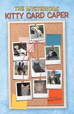 bokomslag Mysterious Kitty Card Caper