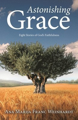 bokomslag Astonishing Grace: Eight Stories of God's Faithfulness
