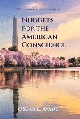 bokomslag Nuggets for the American Conscience