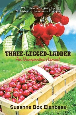 bokomslag Three-Legged-Ladder