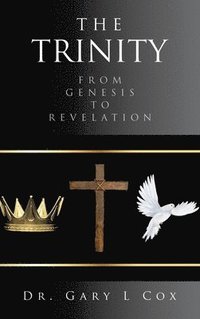 bokomslag Trinity